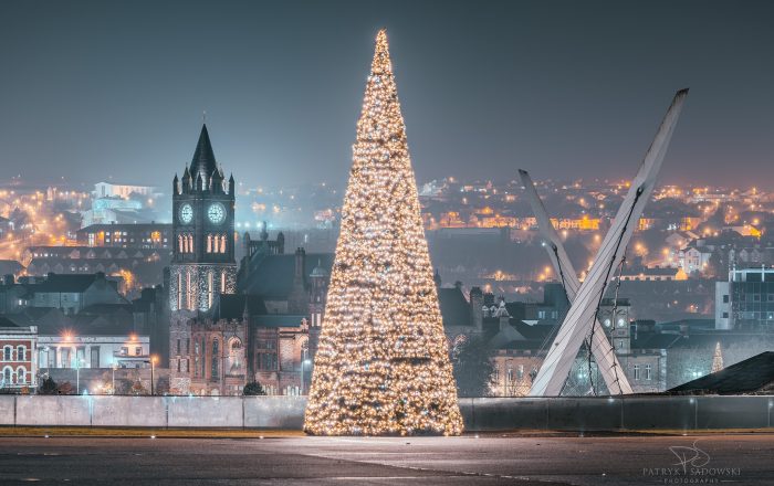 Ebrington Square Tree